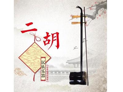 招聘汉中二胡家教老师